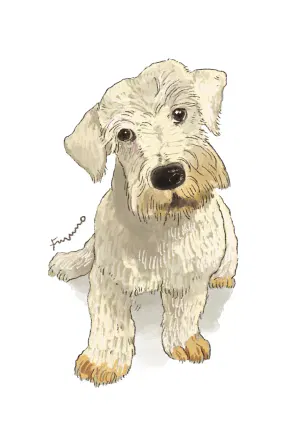 doggust4.jpeg-web.webp