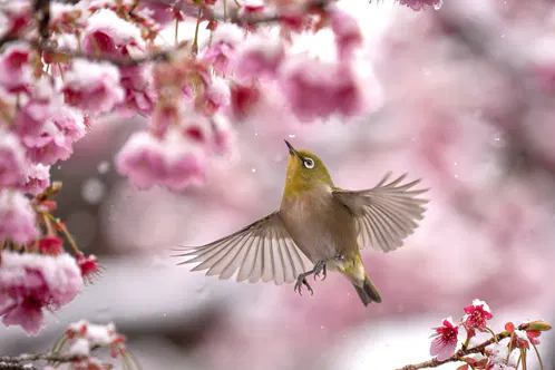 1a6418c1b744c8ae.png