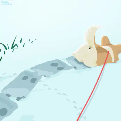 IMG_5622.png.jpg.webp