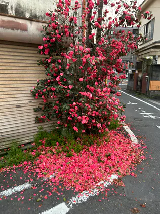 b2605f6856366606.jpeg