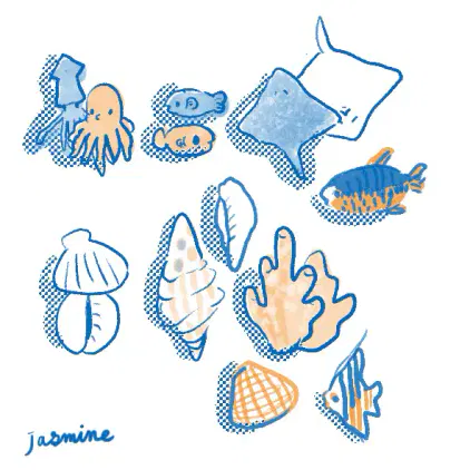 海.png.jpg.webp