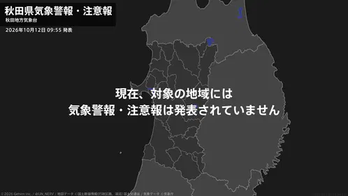 95a3e96292c5c786.png