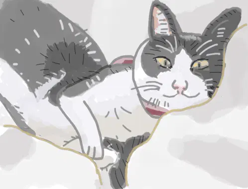 イラスト1.jpg.webp
