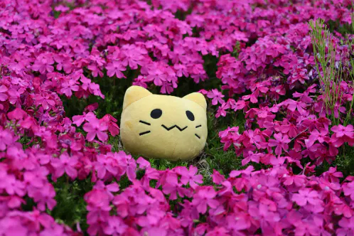 IMG_0001.jpeg.webp