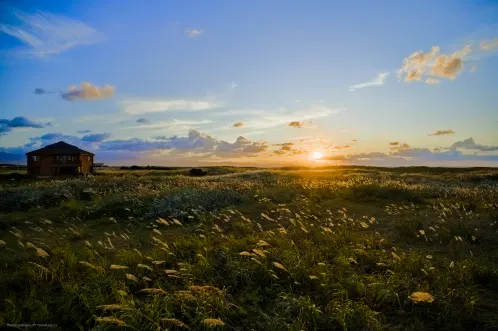 58102d2d-f739-4f67-8c51-d9c1849f590f.jpg.webp