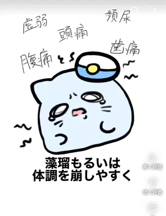 IMG_8864.jpeg.webp