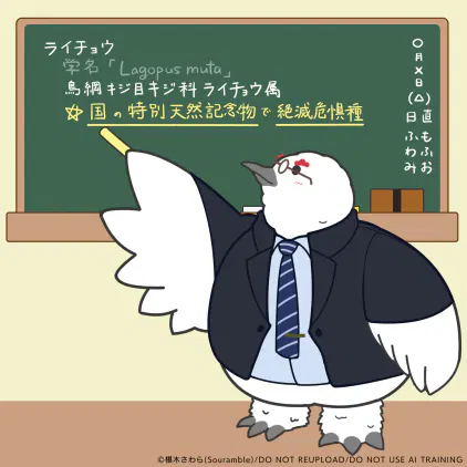 ｃ学校の先生なライチョウさん-文字無.png.webp