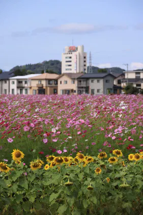 4Q0A5757.JPG.webp