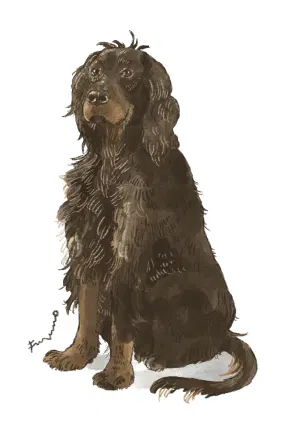doggust10.jpeg-web.webp