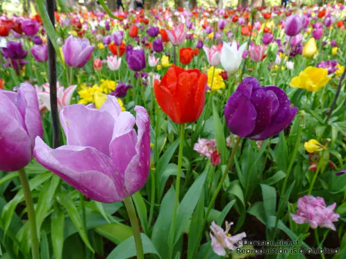 2026_0425_Hitachi_HX99_161.jpg.webp