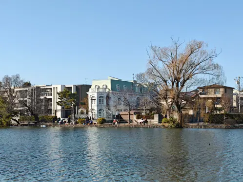 a805bf310ae1c099.webp