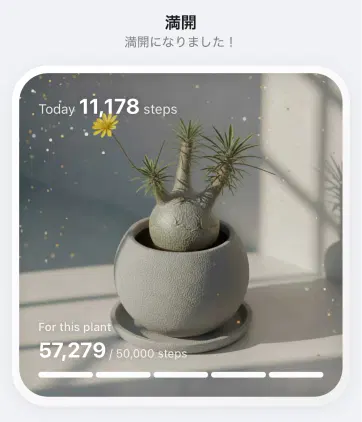 11C23F6A-2C92-45C9-9EB8-3A998E48DFD6-web.webp