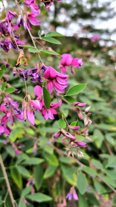 20251019_072016.jpg.webp