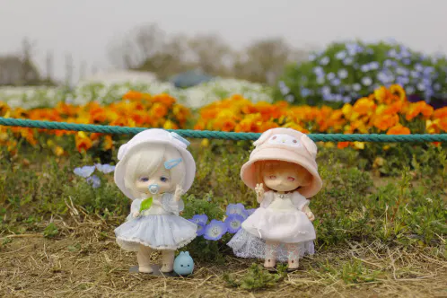 _MG_2681.JPG.webp