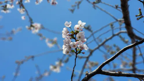 20260328_133617.jpg.webp