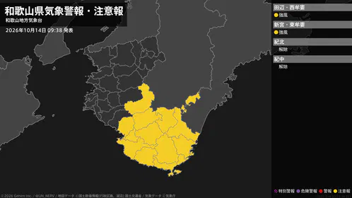 d9fe708034d81565.png