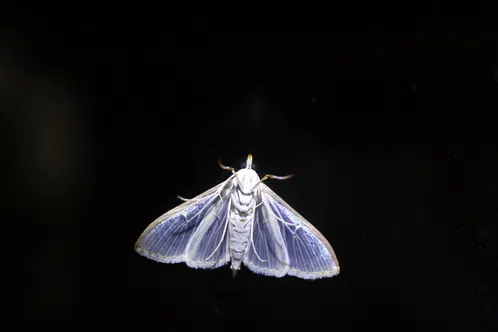 61a8f33ee99aa967.jpg