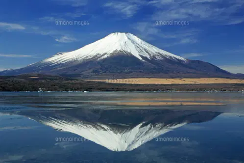 26105016894.jpg.webp