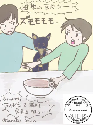 IMG_0350.jpeg.webp