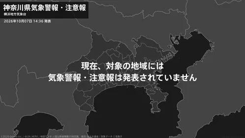 8106a6b7d2a1831e.png