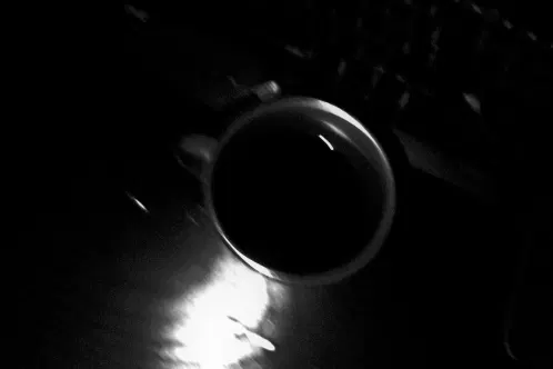 d69d1830-5dc7-4caa-9b7b-05b516252754.jpeg.webp