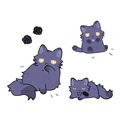 IMG_1713.png