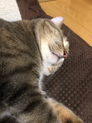 5e6f85673076d553.jpeg