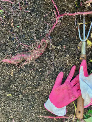 d7561ec94ac81710.jpeg