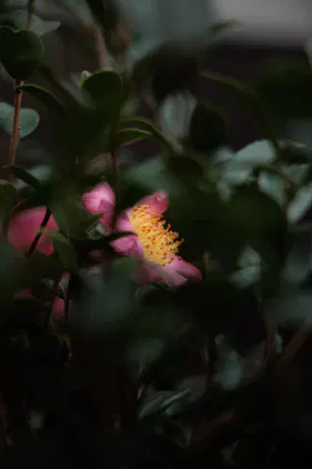 6f476d6d6c7d130d.jpg