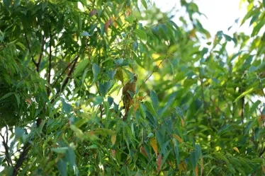 260807_EOSR1_02.webp